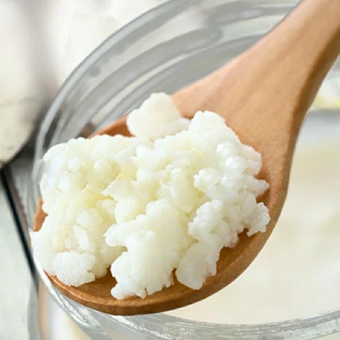 Flash Sale Grain Kefir / Bibit Kefir Susu /Kefir Grain 20Gr Original