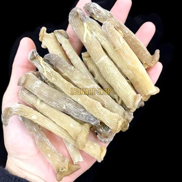 Peanut Worm Cacing Laut Kering Besar Konsumsi Resto Seafood Chinese