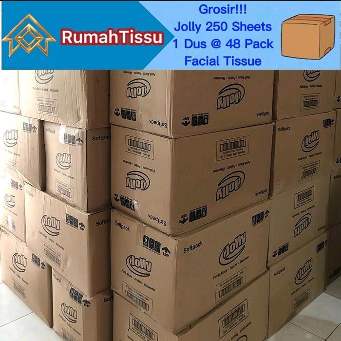 [1 Dus @ 48 Pack] Tisu Jolly Facial Tissue Pack by Paseo 250 Sheets 2 Ply Grosir