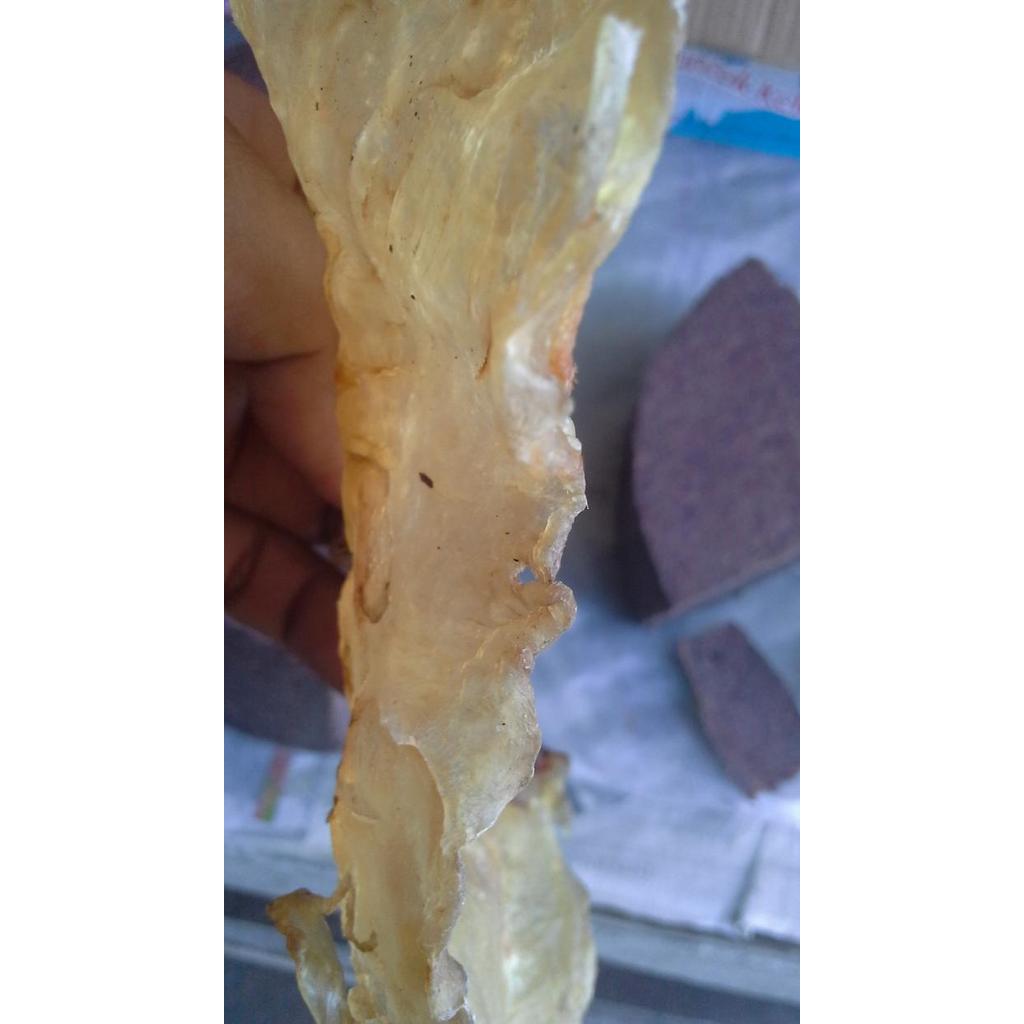 Engphiau Hipio Perut Ikan Manyong Manyung Mentah 100 Gram