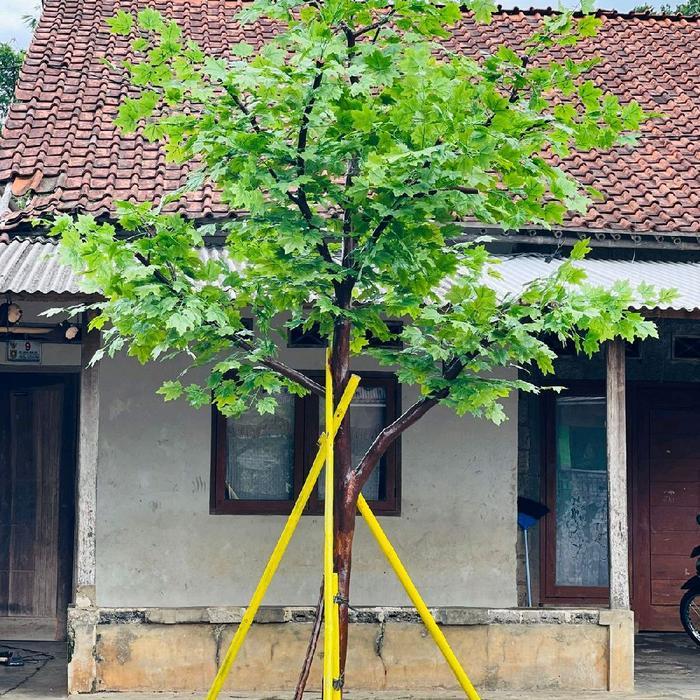 PROMO Tanaman Hias Pohon Maple Hijau Artificial Buatan Besar 4 Meter Dekorasi Pohon Maple Hijau