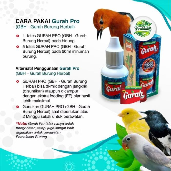 READY GURAH PRO Gurah Burung Herbal Pro Probiotik untuk Mengatasi Macet Bunyi dan Serak pada Burung