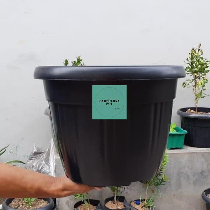 Pot Bunga Tanaman Plastik Grace 35 Hitam Kuping Bahan Tebal - Grace 35 Hitam Kuping