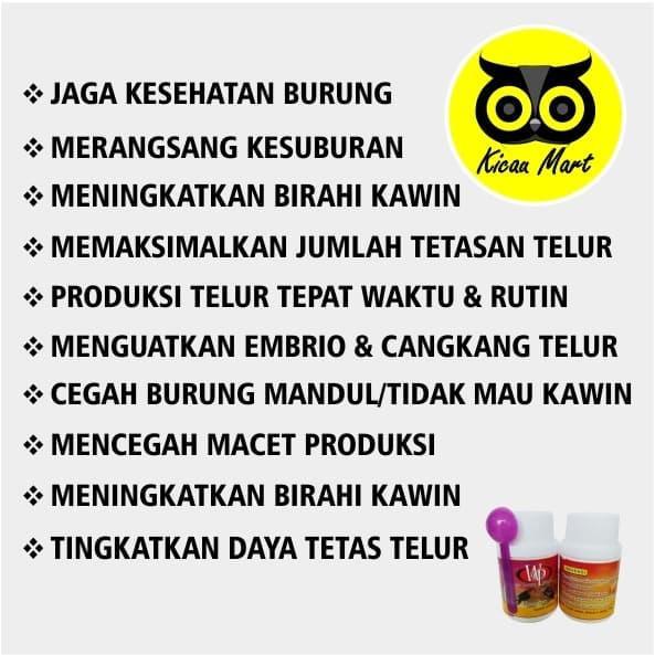 VITAMIN OBAT TERNAK BREEDING BURUNG LOVEBIRD KENARI MURAI KACER WP VIT
