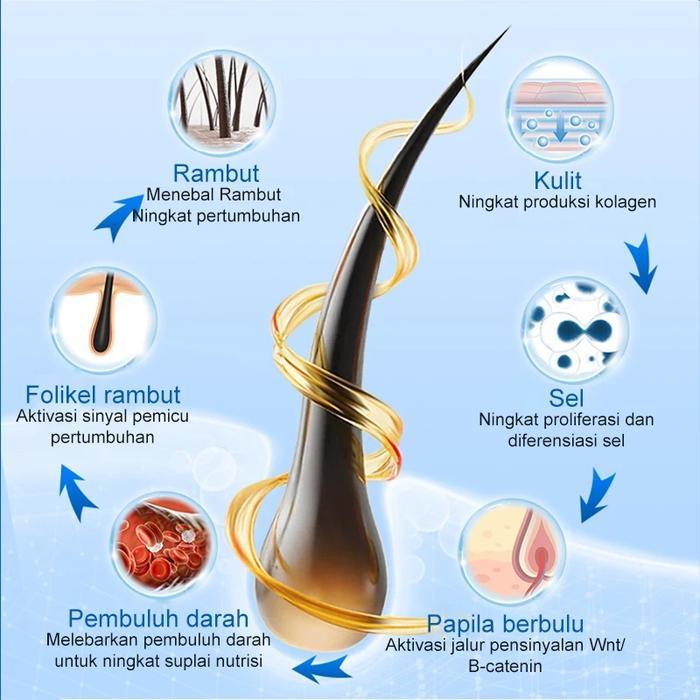 100% Minoxidil Penumbuh Rambut Obat Penumbuh Rambut Botak Tipis Dan Rontok Super Cepat Original 30ml