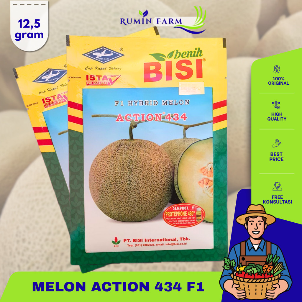 Benih Melon Action 434 12,5 gram Cap Kapal Terbang