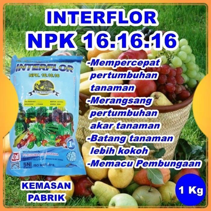 Pupuk Interflor 1 Kg NPK 161616 Kemasan Pabrik Nutrisi Pertumbuhan Tanaman Mutiara Pak Tani