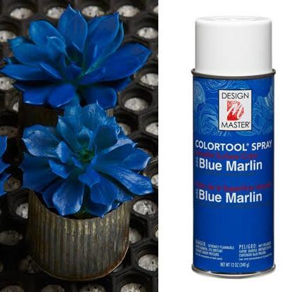 design master blue marlin - Pewarna bunga - spray bunga