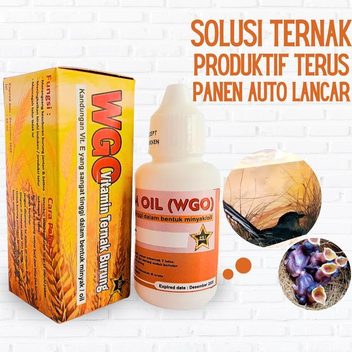 DISKON WGO Asli Vitamin Suplemen Obat Ternak Breeding Burung Murai Batu Kacer Kenari READY STOCK