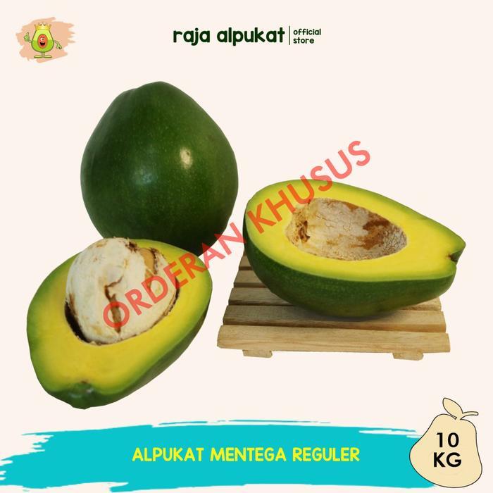 DISKON Grosir Alpukat Mentega Reguler (10 Kg) - Raja Alpukat