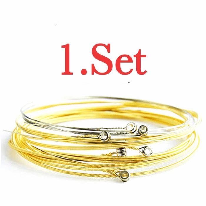 TERLARISSS senar gitar akustik 1.set