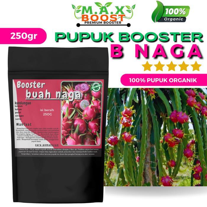 Pupuk booster MAXBOOST pelebat buah naga serta penyubur tanaman buah naga,booster buah naga 100%