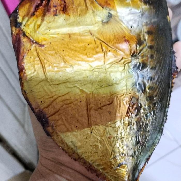 READY ikan asap semar /ani2 isi 3 ekor besar