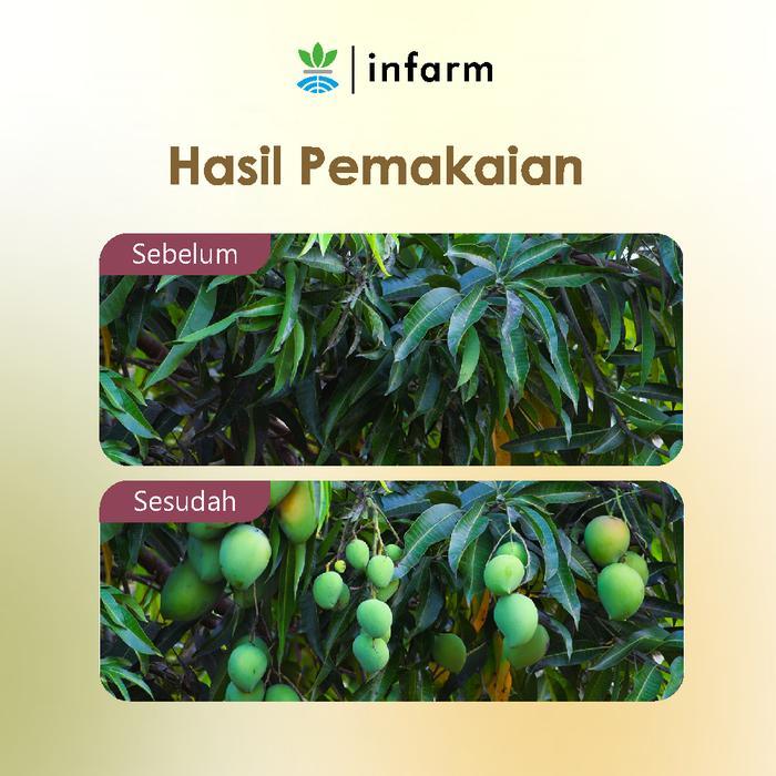 Infarm - Pupuk Organik Cair Tanaman Buah 500Ml Poc Kompos Kalium Pupuk Cair Organik Pupuk Buah Pupuk