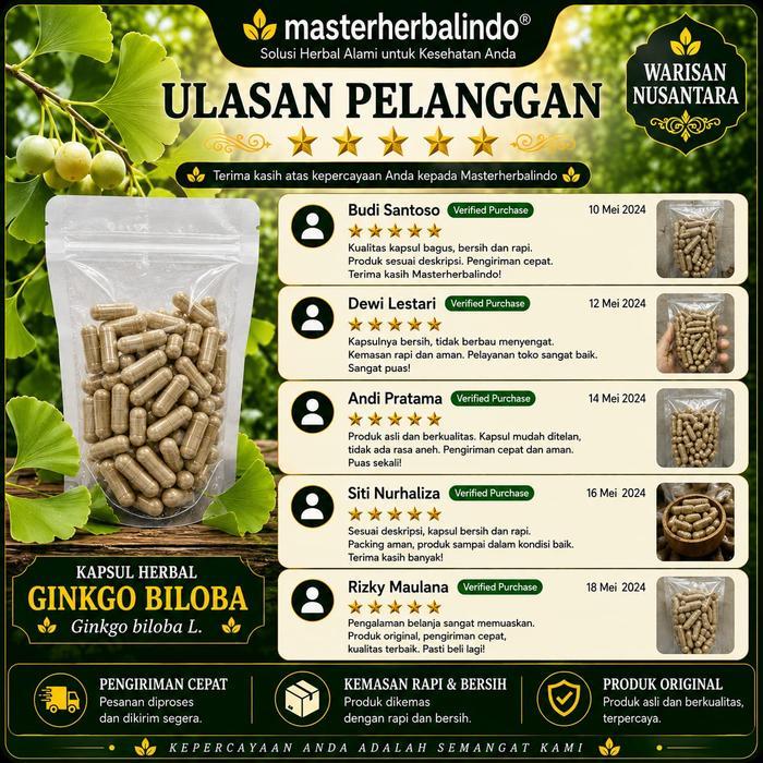 Ginkgo Biloba Ekstrak Kapsul Curah Herbal 200 Kapsul 600 Mg Ginkgo Biloba