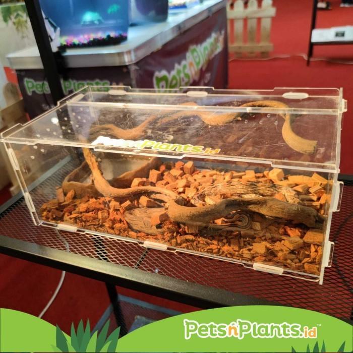DISKON Acrylic Reptile Cage Box Kotak Reptil Vivarium Terarium Akrilik Import