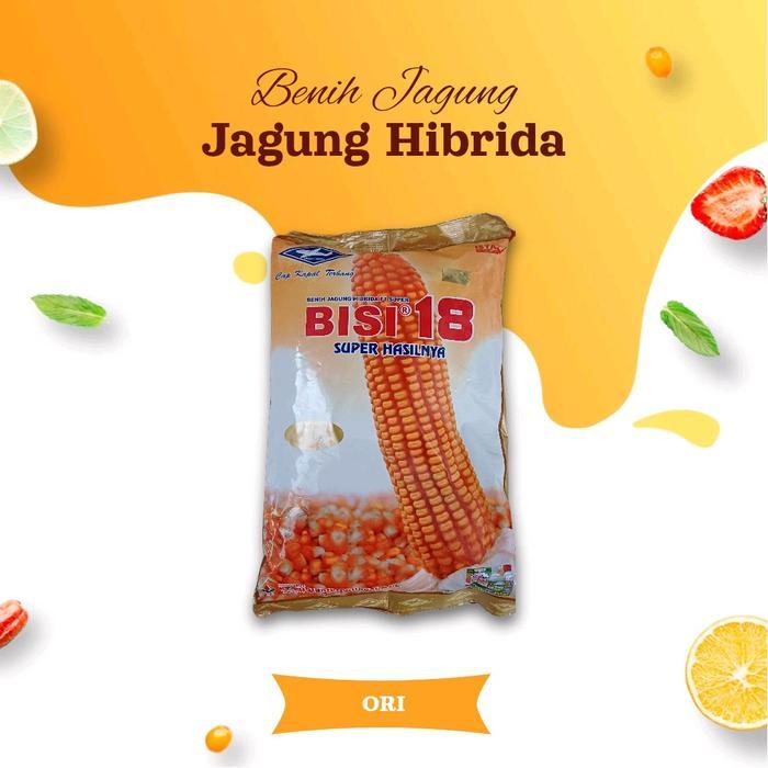 benih jagung hibrida bisi 18 super hasilnya