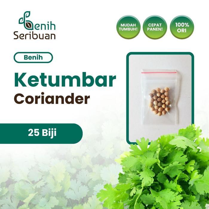 25 Benih Herb Coriander Daun Ketumbar Favor Bibit Sayuran Tanaman Obat
