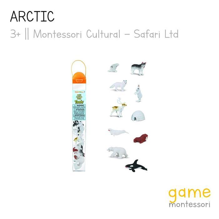 Bunda - Safari Ltd Arctic Toob