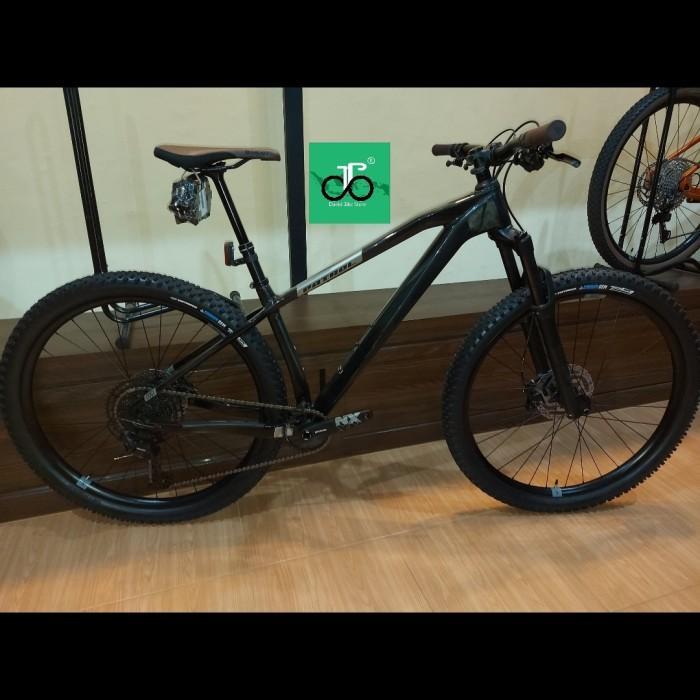 Sepeda MTB 29" Patrol C091 TERBARU 2021 (Carbon)