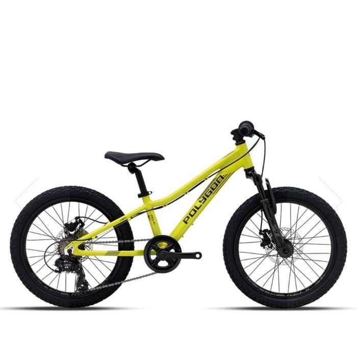 Sepeda gunung MTB Polygon Relic Alloy 20 inch