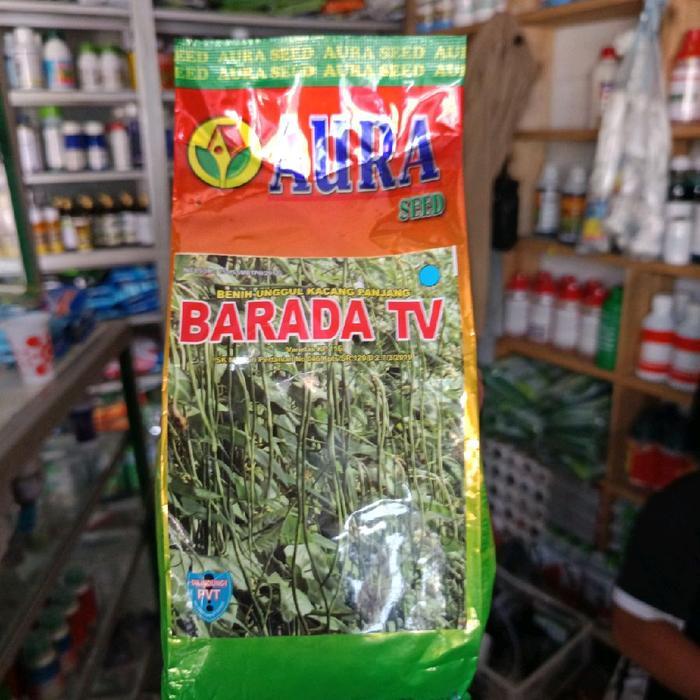 Benih kacang panjang barada 500gram,benih kacang panjang aura