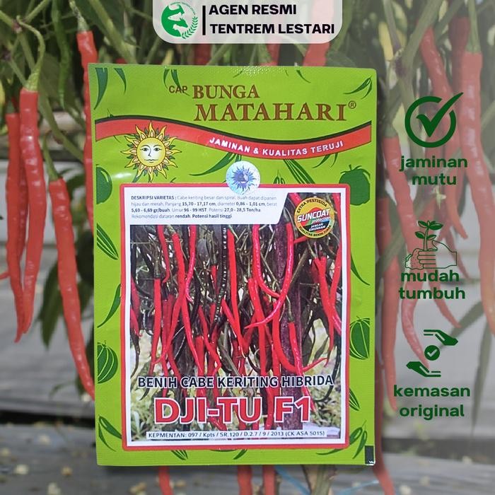 uikb Benih Cabe Keriting Hibrida Djitu F1 10 Gram Cap Bunga Matahari Lebat & Unggul