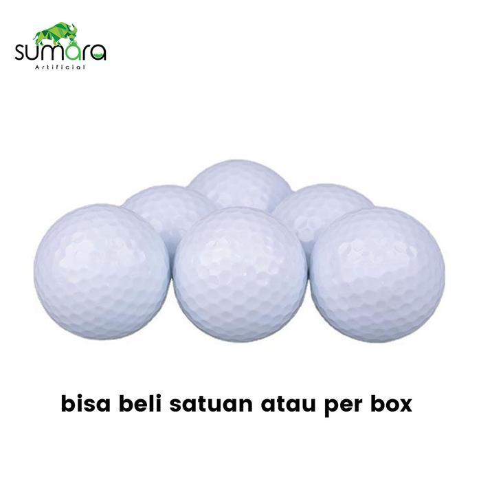 Bola Golf Titleist Pro V1 Grade A