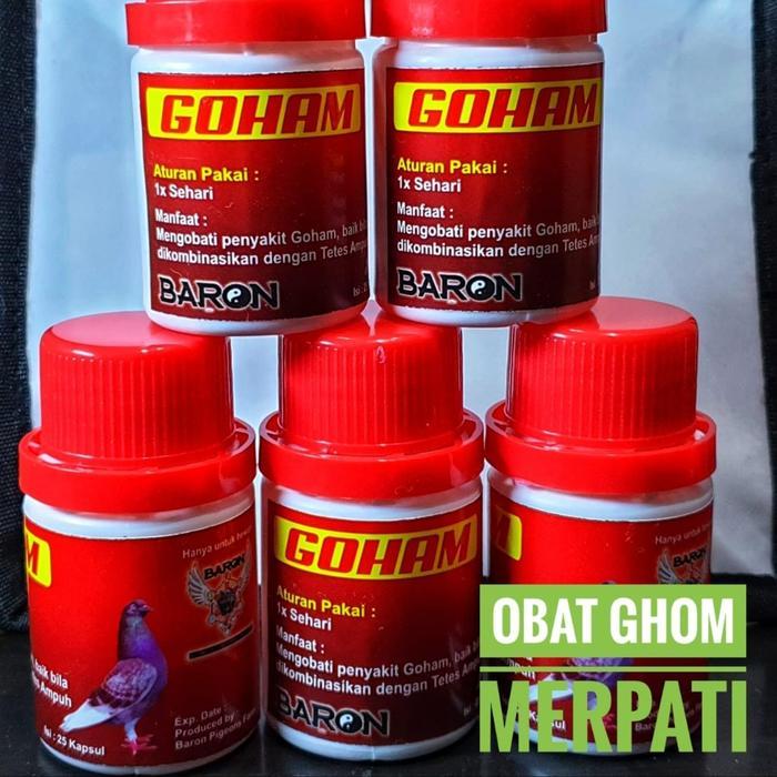 GOHAM BARON MENGOBATI GOHAM JAMUR TENGGOROKAN MULUT BURUNG MERPATI