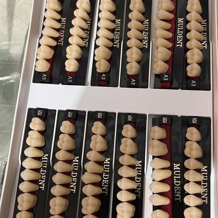 5s79- Gigi Muldent Geraham Atas