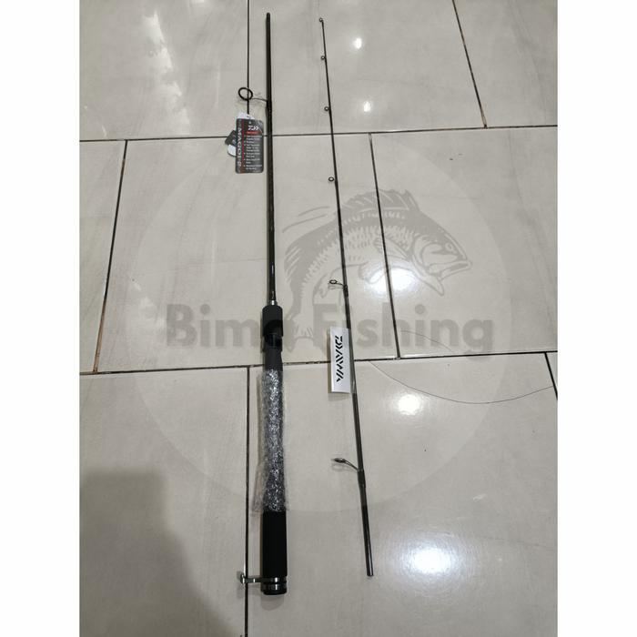 Joran Daiwa Magoi-GT 602MS