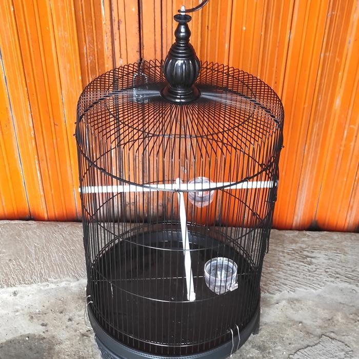 kandang lovebird jumbo