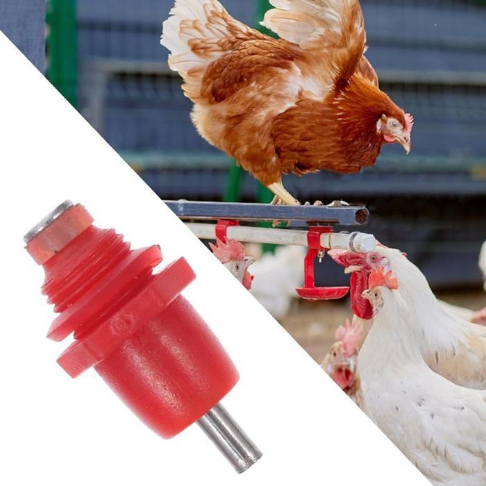 10Pcs Nipple Ayam Broiler Nipple Ayam Petelur Nipel Minum Ayam Nipel Ayam Broiler Niple Drinker Ayam