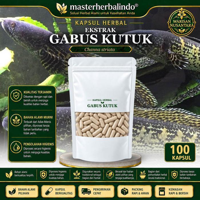 READY Ikan Gabus Kutuk Ekstrak Kapsul Curah 200 Kapsul 600 mg Channa striata