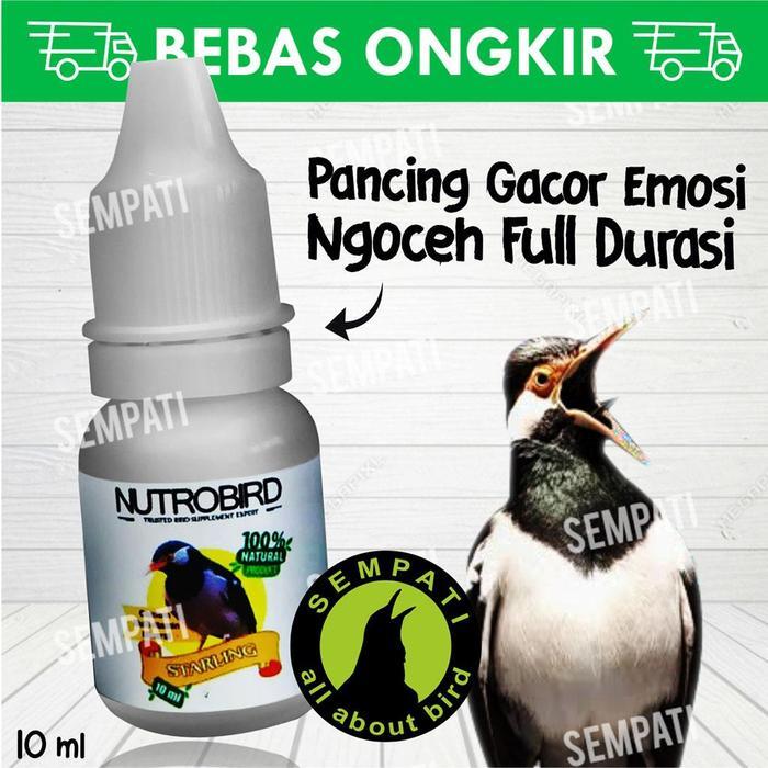 SEMPATI NUTROBIRD JALAK STARLING VITAMIN PENGGACOR BURUNG JALAK GACOR NOJ