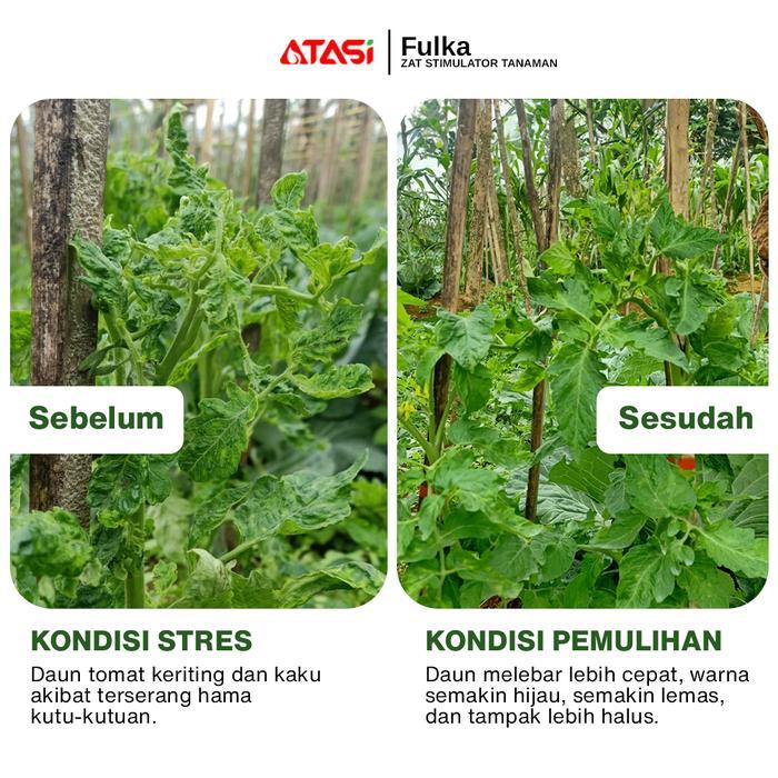 FULKA Zat Stimulator Tanaman Pupuk Penyerap Nutrisi Premium 1010ml x 2