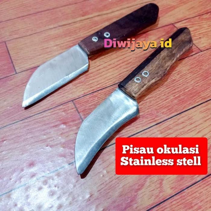 Paket Grafting tool Pisau Okulasi Pruning Tanaman Bonsai Serut Bambu Layang Layang - Pisau Stek