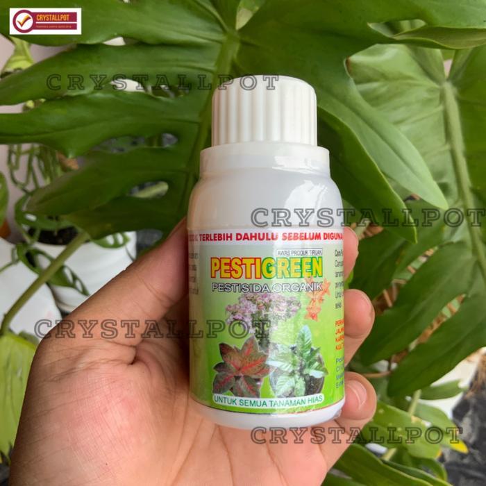 Pestigreen Pestisida Organik 100Ml