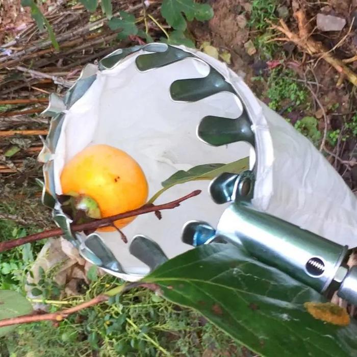 alat pemetik buah metal fruit picker