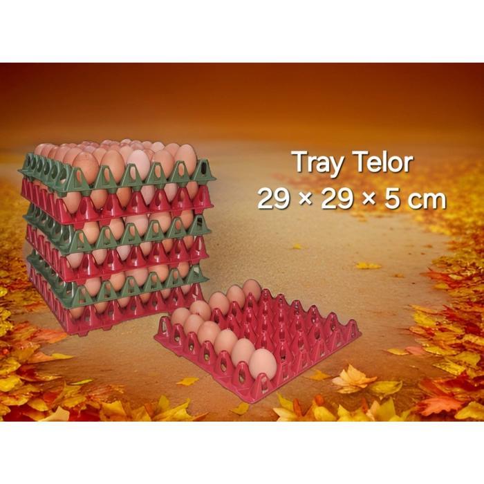 Eggtray Plastik 12pcs(1 lusin) /Egg Tray/Tempat Telur AYAM/Wadah Telur AYAM/Egg Tray/Alat Ternak