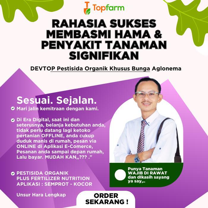 READY Obat Hama Tanaman Aglonema / Obat Busuk Akar Aglonema / Obat Bercak Daun Aglonema / Pestisida