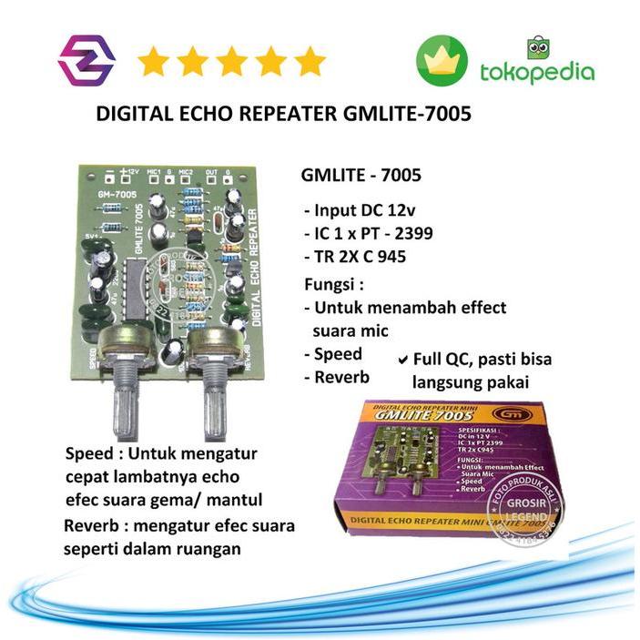 Digital echo repeater GMLITE-7005