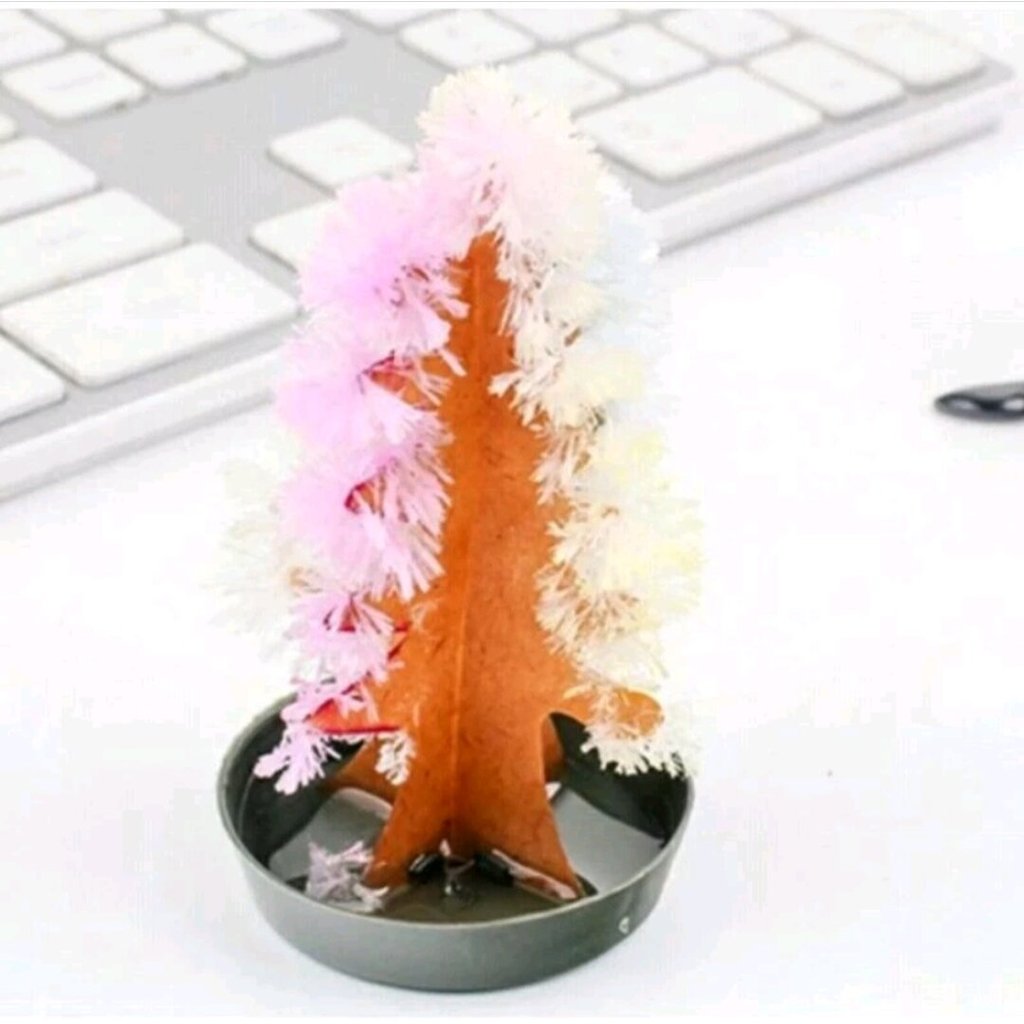 Mainan anak pohon ajaib bisa tumbuh beneran lucu murah satuan mainan edukasi pohon tumbuh pohon salj