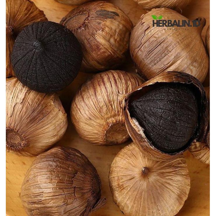 READY Black Garlic Kating Warisan Ibu Bawang Hitam Kating Fermentasi Black Garlic Premium