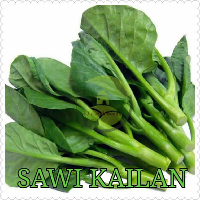 Terbaru Benih Sayuran Kailan/Bibit Sayur Kailan/Kailan