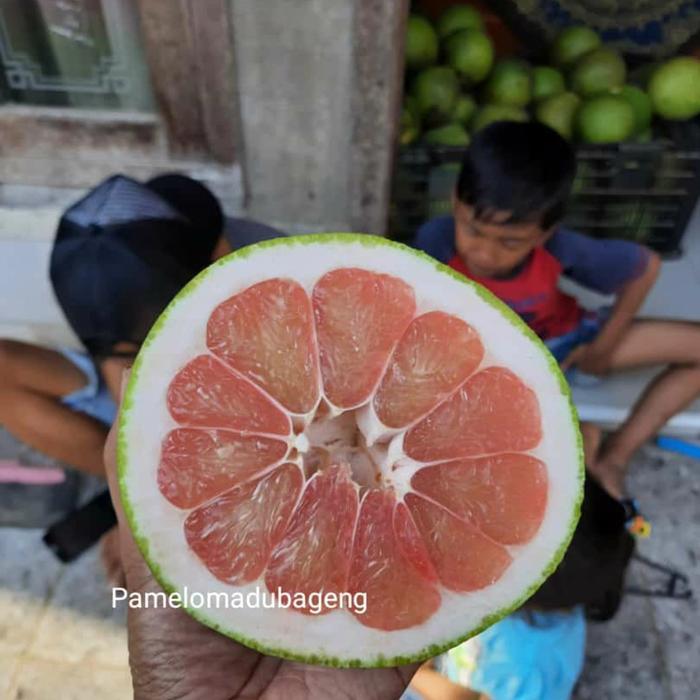 TERLARIS JERUK PAMELO BALI MADU MURIA PATI 2KG