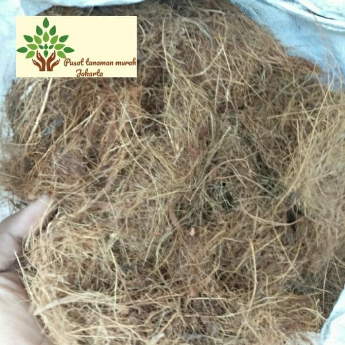 MEDIA TANAM COCO FIBER / COCO FIBER / SERABUT KELAPA