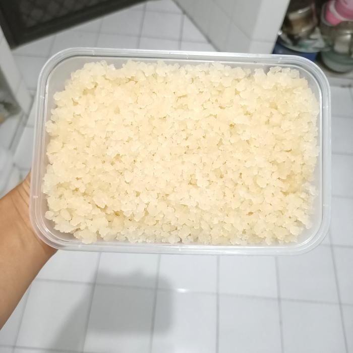 BEST SELLER PROMO BIBIT KEFIR WATER/BIBIT KRISTAL ALGA JEPANG