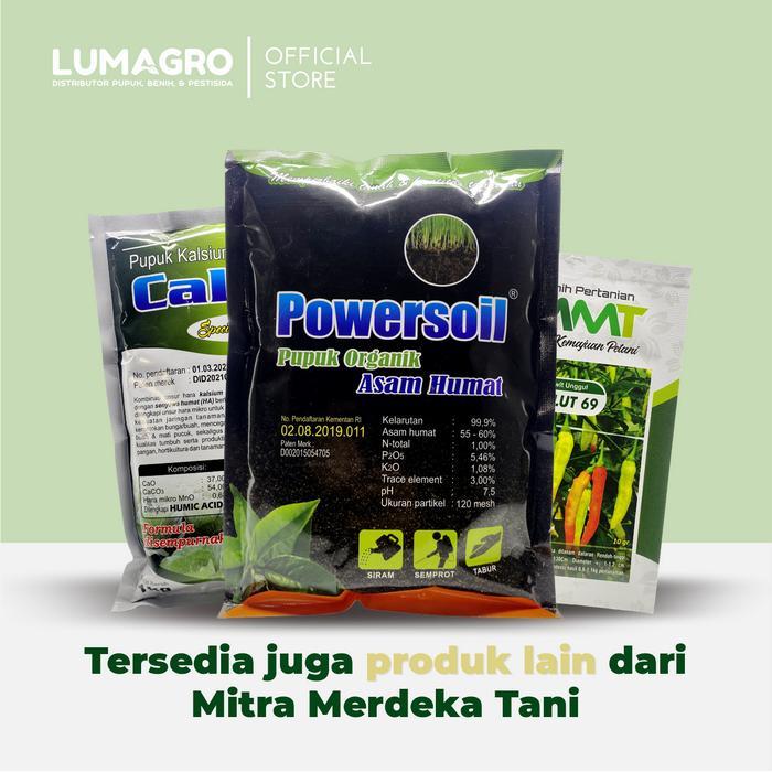 PROMO Benih Cabe Rawit Absolut 69 10gr Cabai Unggul Tahan Virus Gemini Absolut69 MMT