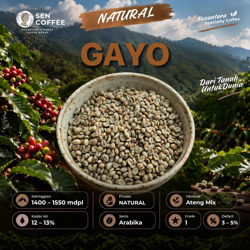 Biji Kopi Arabika Natural Gayo 1 Kg | Biji Kopi Mentah